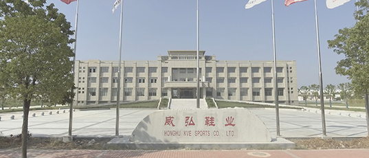 DB电竞·(中国区)官方网站